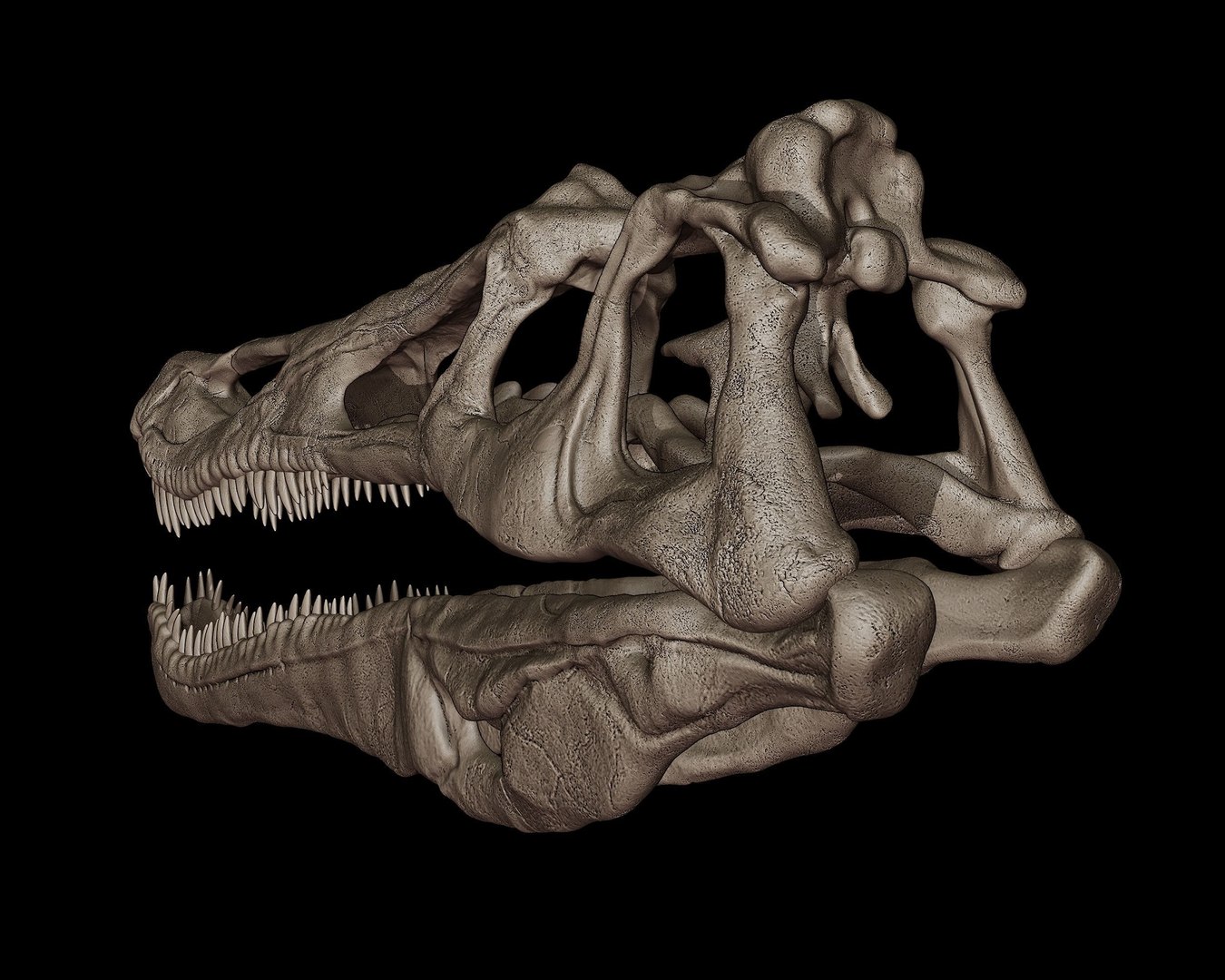 Baryonyx Skull 3D print model 3D model https://p.turbosquid.com/ts-thumb/bY/wk1lIK/jP/baryonyxskull3dmodel42f8ed6b9f/jpg/1745145009/1920x1080/fit_q87/d283e2298c8a547a389f805e63aa3f3d6148ef15/baryonyxskull3dmodel42f8ed6b9f.jpg