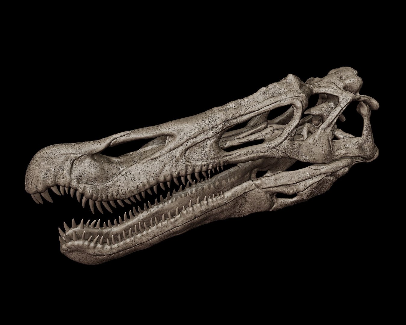 Baryonyx Skull 3D print model 3D model https://p.turbosquid.com/ts-thumb/bY/wk1lIK/sT/baryonyxskull3dmodelc6d08f7ddd/jpg/1745145022/1920x1080/fit_q87/1095e241427e78130ed8a1623eed5e557f4189c4/baryonyxskull3dmodelc6d08f7ddd.jpg