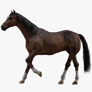 3D horse rigged fur model