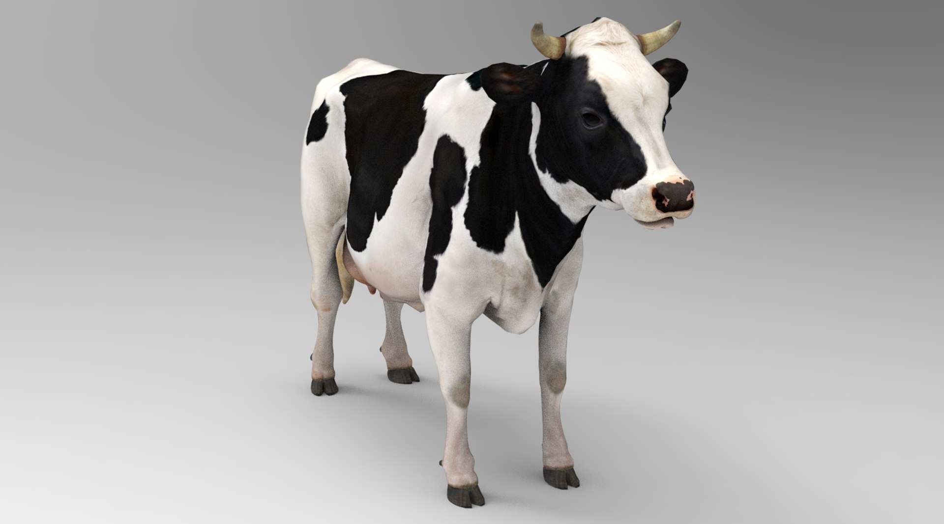 3D Milk Cow - Animated model - TurboSquid 2110186