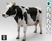 White Cow - Rigged - Animated