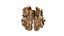 Walnut kernel v3