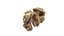 Walnut kernel v3