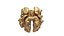 Walnut kernel v3