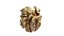 Walnut kernel v3