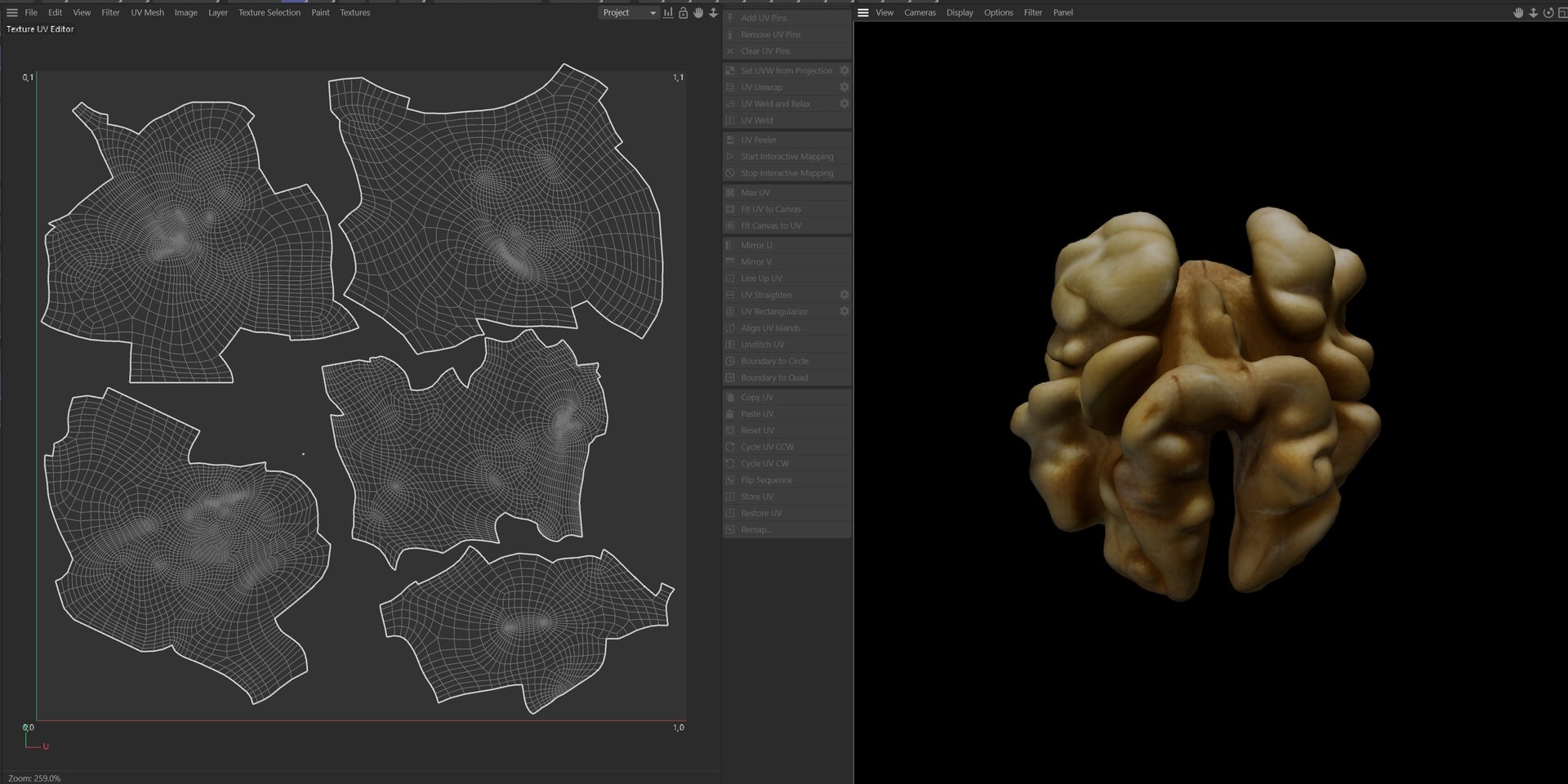 3D Walnut kernel v3 https://p.turbosquid.com/ts-thumb/bZ/8s4o9H/X9/uv/jpg/1745468843/1920x1080/fit_q87/d358cc479bbfa6299297c6607b22e879b2d9a53a/uv.jpg