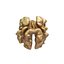 Walnut kernel v3