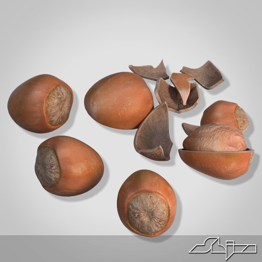 3d max hazelnuts cracked shells
