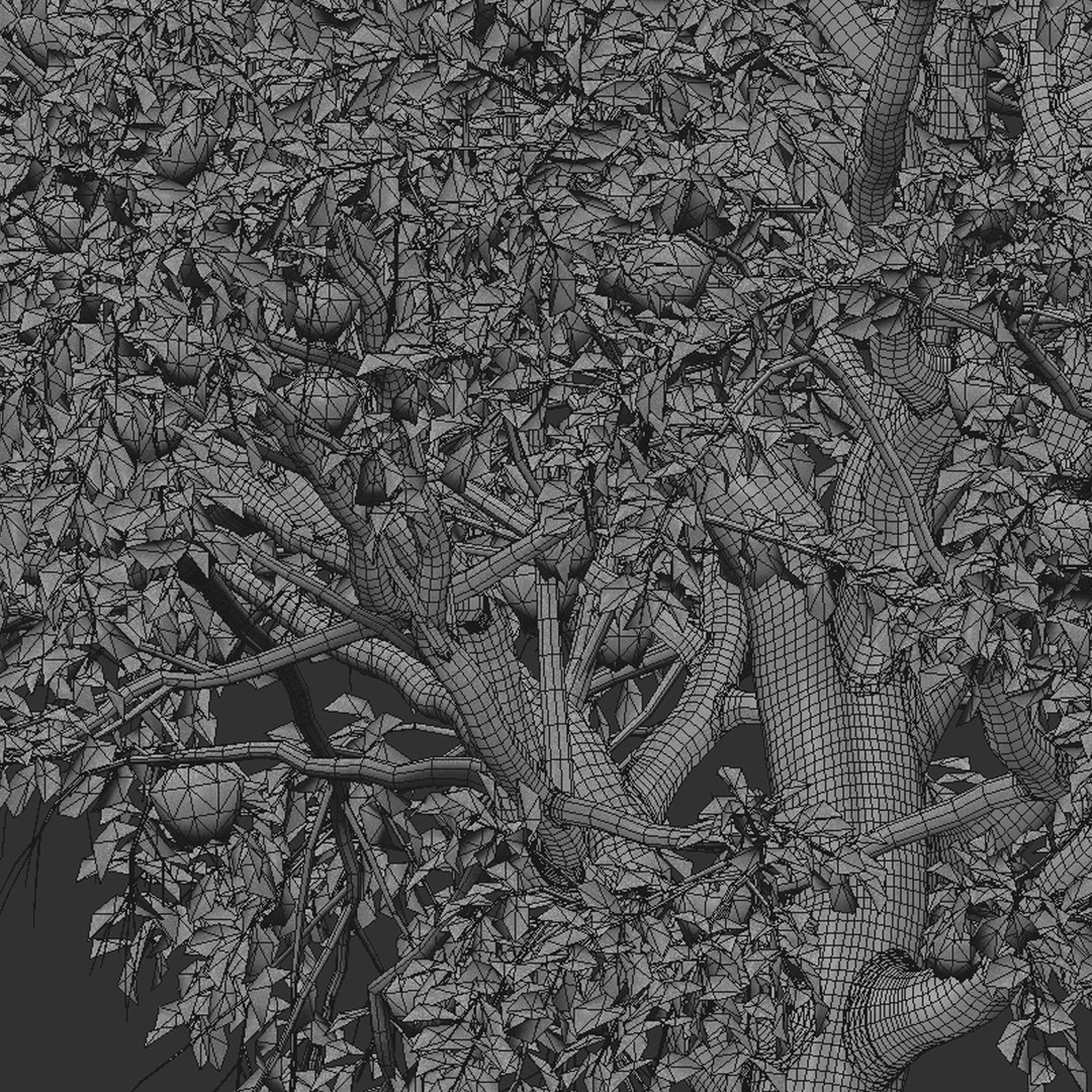 Set of Apple or Malus domestica Tree - 2 Trees 3D model https://p.turbosquid.com/ts-thumb/bZ/FdB6ye/hk/appletree5t/jpg/1670489075/1920x1080/fit_q87/3ed393051203267d6fd0a04d88df5720e77d4109/appletree5t.jpg