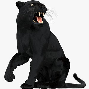 black panther fur 3D model