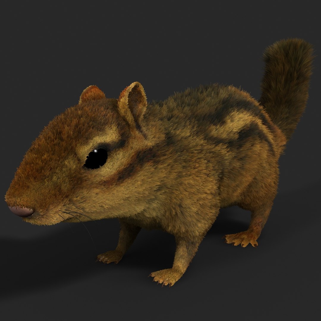 Chipmunk 2 3d Ma