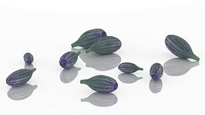 3D model lavender flower spices plant