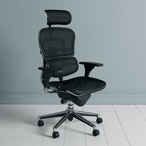 ergo human swivel chair model