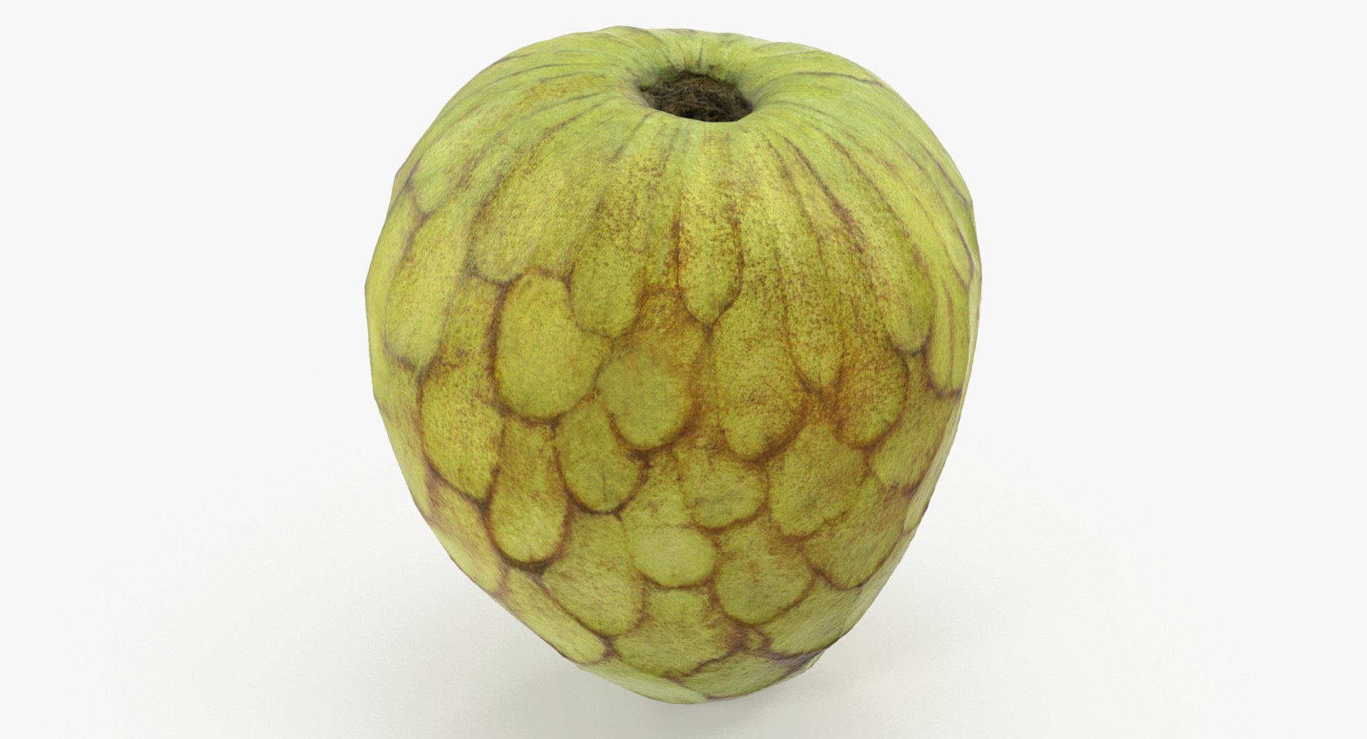 Cherimoya or Annona Cherimola Fruit 3D Model 3D model preview