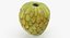 Fruits Collection 10