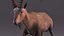 3D Alpine Ibex in Walking Pose model