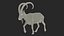3D Alpine Ibex in Walking Pose model