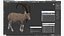 3D Alpine Ibex in Walking Pose model