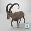 3D Alpine Ibex in Walking Pose model