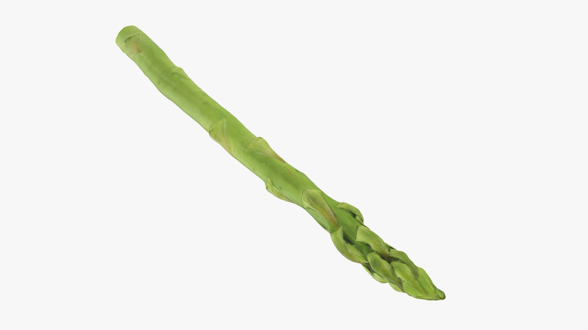 Asparagus 01 3D model https://p.turbosquid.com/ts-thumb/ba/0dgJq4/4T/asparagus01_0010/png/1758428699/1920x1080/fit_q87/4124d8f0e3364299d84f7a0c10d8baf77b8a9b62/asparagus01_0010.jpg