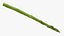 Asparagi 01