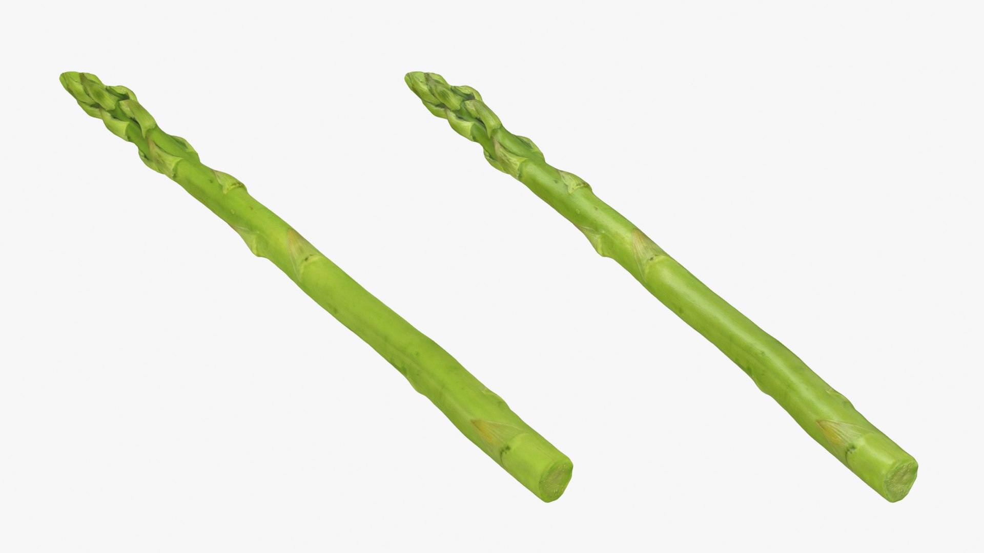 Asparagus 01 3D model https://p.turbosquid.com/ts-thumb/ba/0dgJq4/Dy/asparagus01_0001b/png/1758428690/1920x1080/fit_q87/fbd1cbd6d69ec2f02b82382287cf982d94862bd4/asparagus01_0001b.jpg