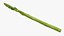 Asparagi 01