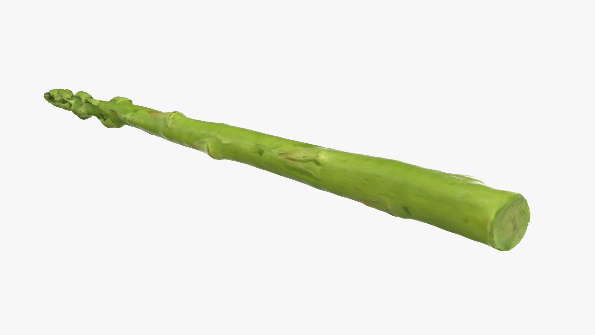 Asparagus 01 3D model https://p.turbosquid.com/ts-thumb/ba/0dgJq4/JW/asparagus01_0008/png/1758428698/1920x1080/fit_q87/425f2b6ad5f7ed3311b11cbfb510cb03d3845a74/asparagus01_0008.jpg