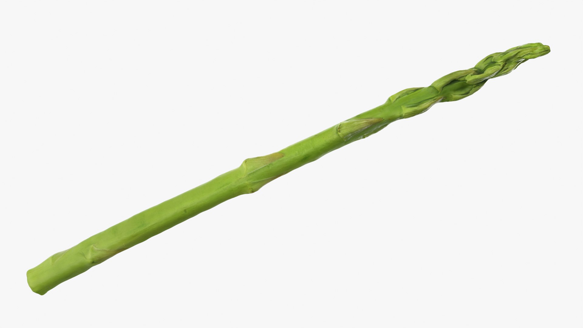 Asparagus 01 3D model https://p.turbosquid.com/ts-thumb/ba/0dgJq4/PR/asparagus01_0003/png/1758428692/1920x1080/fit_q87/b6374f3b000ce95ae0e20ca3a51658da8b59f1b5/asparagus01_0003.jpg