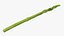 Asparagi 01
