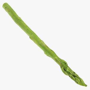 Asparagus 01 3D model