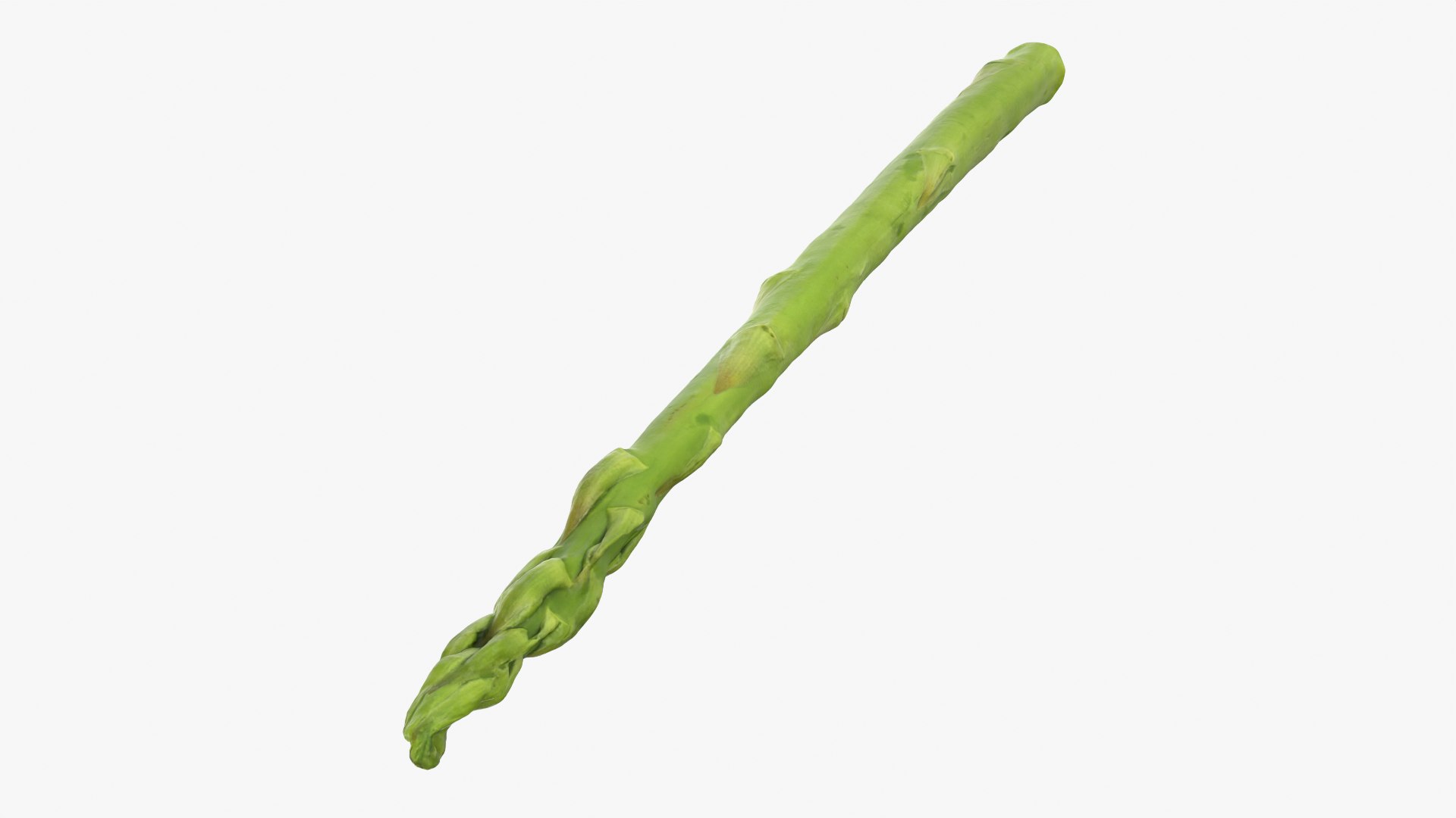Asparagus 01 3D model https://p.turbosquid.com/ts-thumb/ba/0dgJq4/Rh/asparagus01_0005/png/1758428694/1920x1080/fit_q87/98ebdd2669c81a658870f858ff6464670a1416c1/asparagus01_0005.jpg