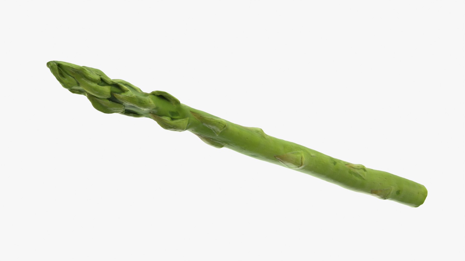 Asparagus 01 3D model https://p.turbosquid.com/ts-thumb/ba/0dgJq4/Ug/asparagus01_0009/png/1758428697/1920x1080/fit_q87/3e9823ff54192da8add86febe322dd741c407232/asparagus01_0009.jpg