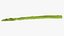 Asparagi 01