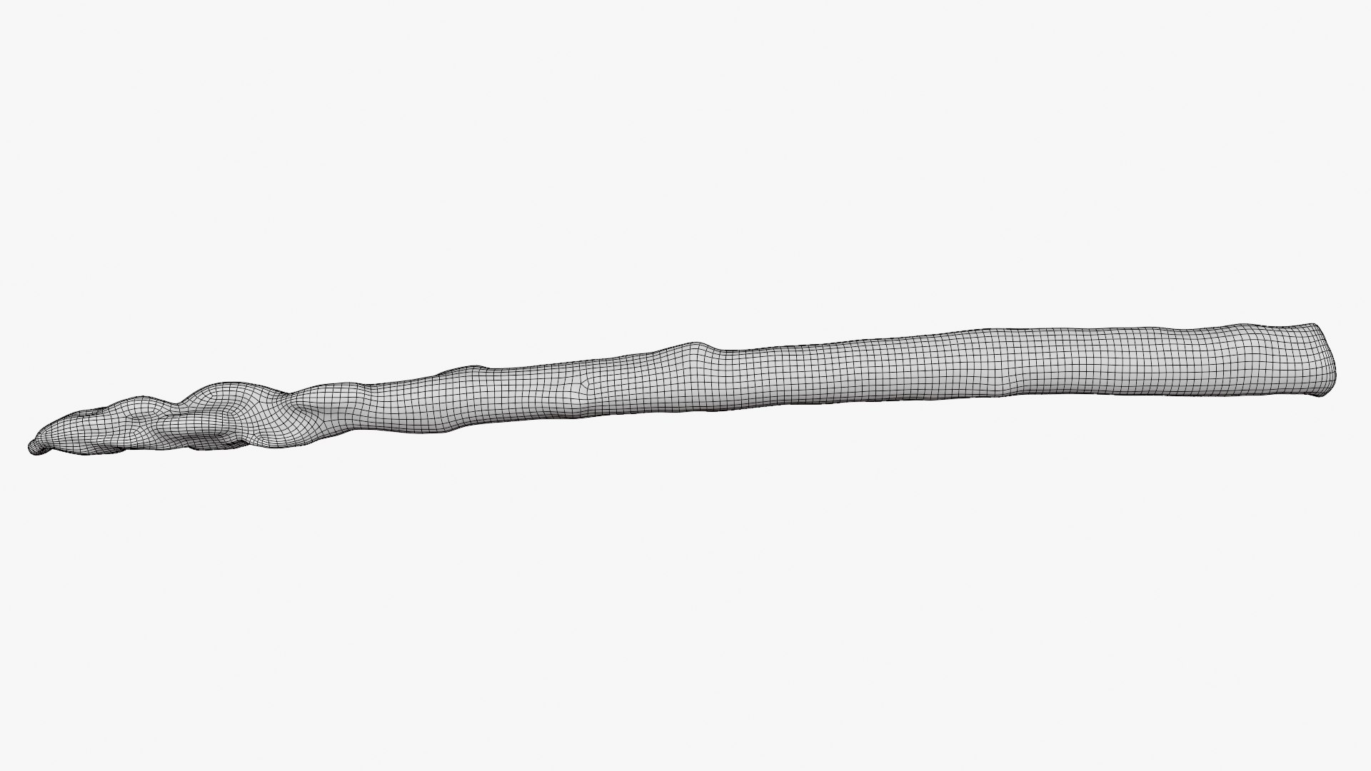 Asparagus 01 3D model https://p.turbosquid.com/ts-thumb/ba/0dgJq4/ud/asparagus01_d0001/png/1758428703/1920x1080/fit_q87/c84a48b65eba56014ea6536597aaa5cf74cbe34c/asparagus01_d0001.jpg