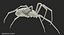 3D model McKinley Arachnid