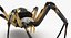 3D model McKinley Arachnid