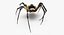 3D model McKinley Arachnid