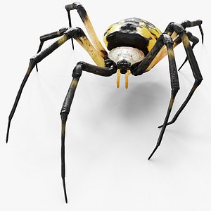 3D model McKinley Arachnid