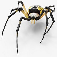 McKinley Arachnid