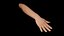 Right Hand Rigged 3D model
