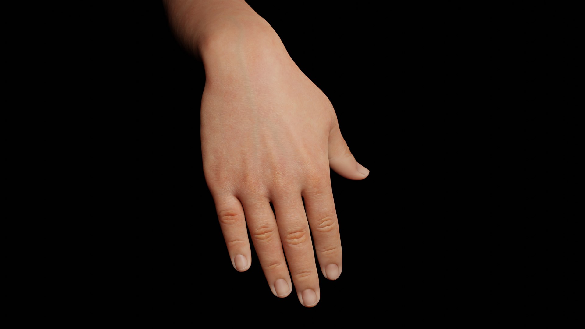 Right Hand Rigged 3D model https://p.turbosquid.com/ts-thumb/ba/3iBfMv/Iq/10/png/1660041570/1920x1080/fit_q87/3ed4f152e13ddf6acbeabcb17fc46fe56c86af71/10.jpg