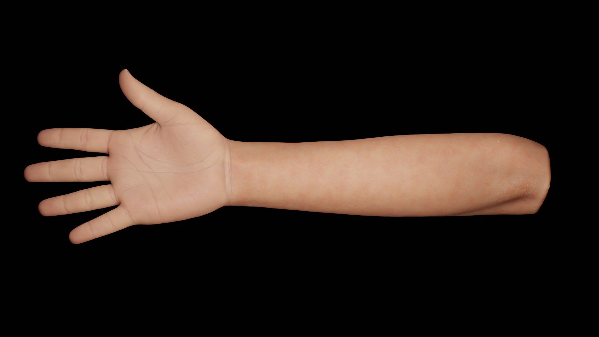 Right Hand Rigged 3D model https://p.turbosquid.com/ts-thumb/ba/3iBfMv/Wh/9/png/1660041568/1920x1080/fit_q87/417f18d4a05d4a09e9a8fb8f656b0355cc99ed51/9.jpg