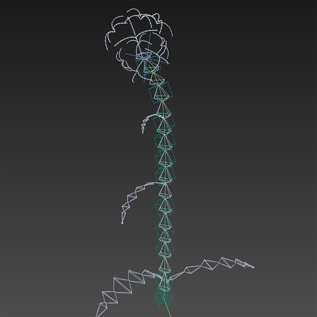 Flowers Open Animation 3D - TurboSquid 1562063
