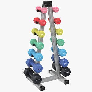 Gym Colored Dumbbells Weight Rack