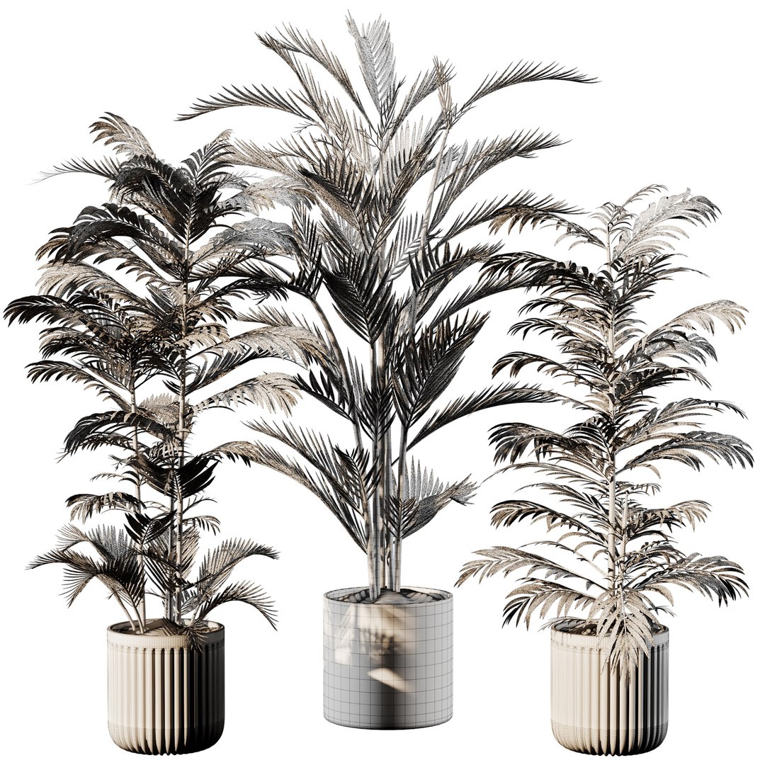 Indoor Plant Set 01 3D model https://p.turbosquid.com/ts-thumb/ba/cjLU5y/0W/view05copy/jpg/1721204433/1920x1080/fit_q87/c9038a29e31544a21d3a9112fa528cc469aebbc9/view05copy.jpg
