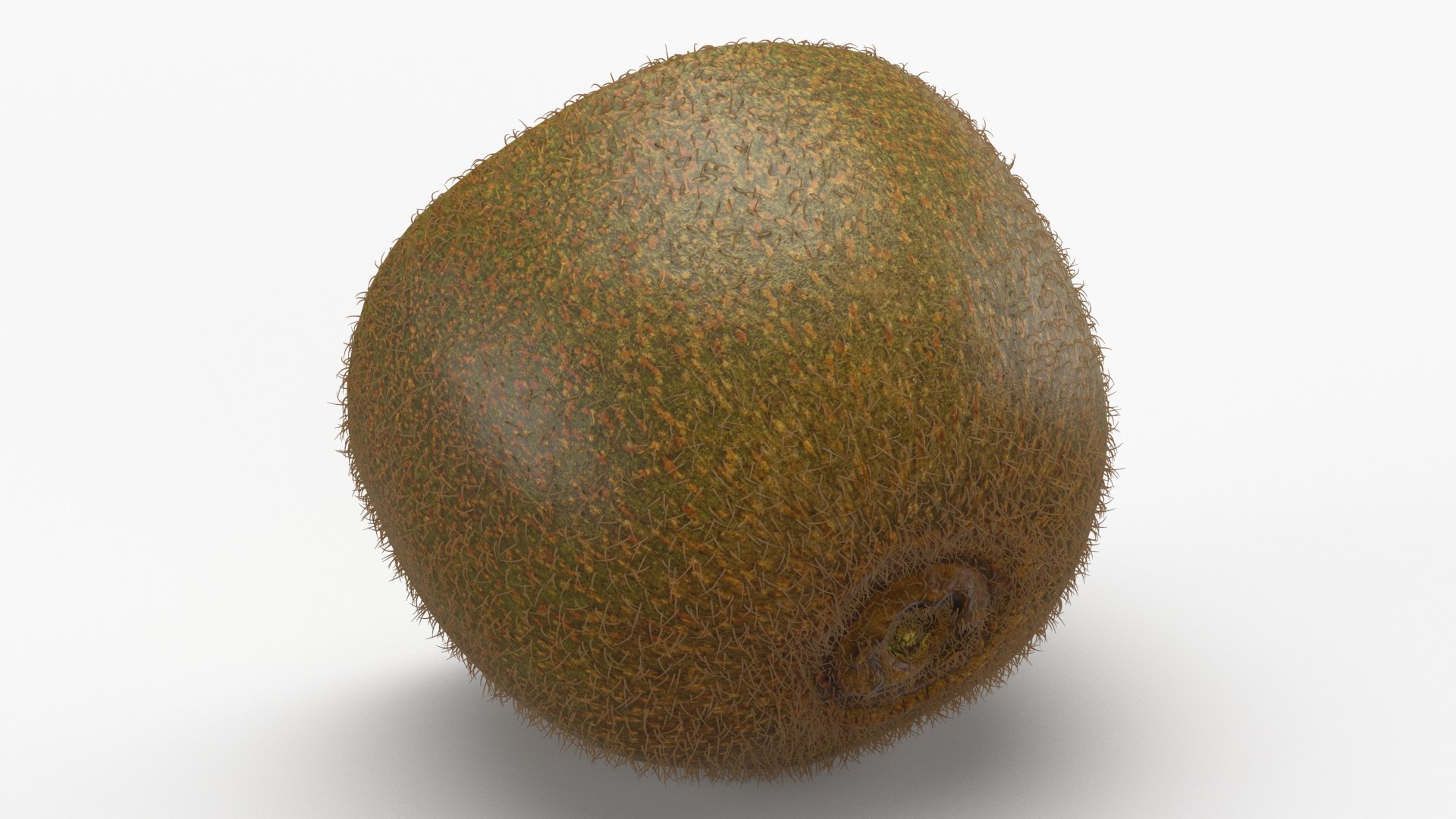 Half Cut Kiwi with Fur 3D https://p.turbosquid.com/ts-thumb/ba/dXThUB/39/kiwihalf_b0021/jpg/1628052287/1920x1080/fit_q87/7bbda6ef6d9d3d6b9ce655b9e4eee758f6b8e867/kiwihalf_b0021.jpg