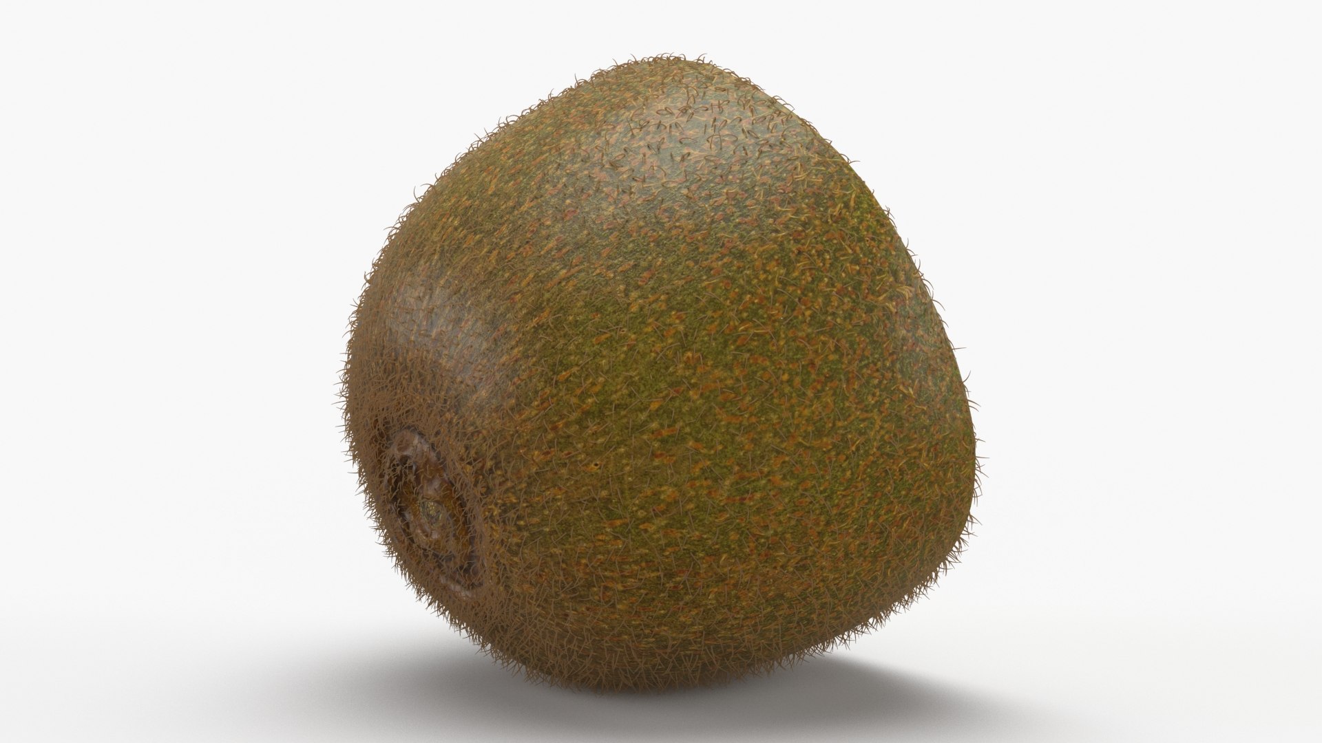 Half Cut Kiwi with Fur 3D https://p.turbosquid.com/ts-thumb/ba/dXThUB/49/kiwihalf_b0015/jpg/1628052268/1920x1080/fit_q87/c5383b9833b8927117d498208427d2a69d1533e1/kiwihalf_b0015.jpg