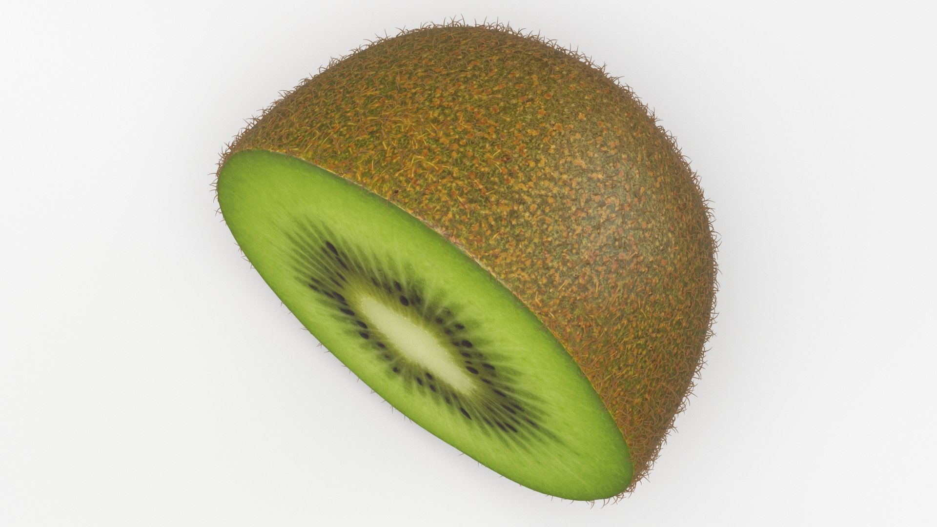 Half Cut Kiwi with Fur 3D https://p.turbosquid.com/ts-thumb/ba/dXThUB/RD/kiwihalf_b0024/jpg/1628052288/1920x1080/fit_q87/1096bb19a8aac08f025001325099689aa73aa1d7/kiwihalf_b0024.jpg