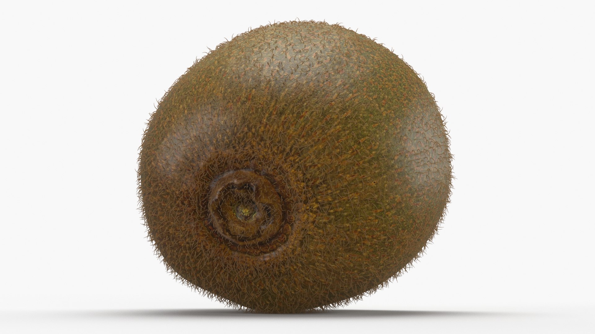 Half Cut Kiwi with Fur 3D https://p.turbosquid.com/ts-thumb/ba/dXThUB/qN/kiwihalf_b0027/jpg/1628052280/1920x1080/fit_q87/61ed530ffc5068b01567fd226bab76d94091f681/kiwihalf_b0027.jpg